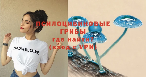 прущий лед Алзамай