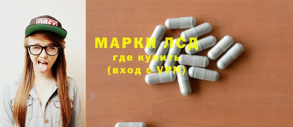 прущий лед Алзамай