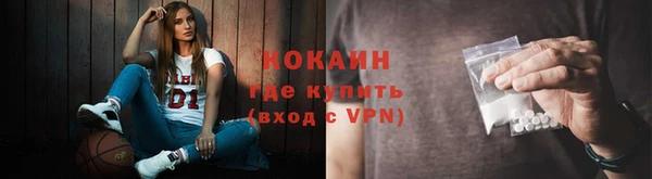 прущий лед Алзамай