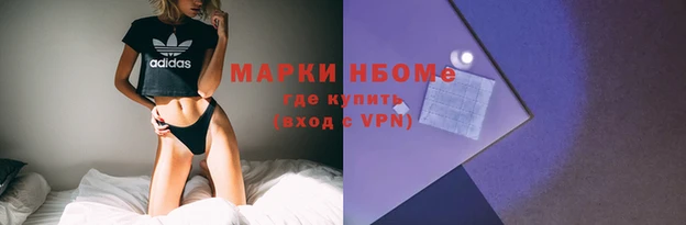 прущий лед Алзамай
