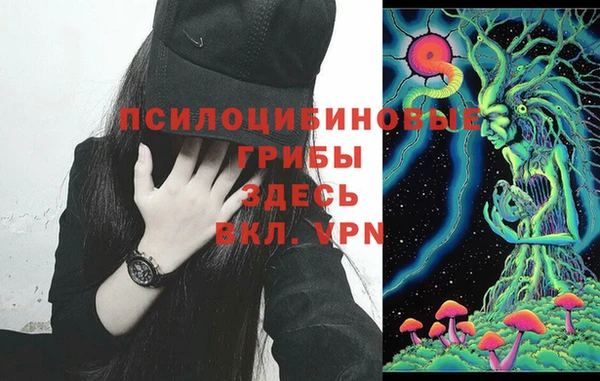 прущий лед Алзамай