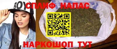 a pvp Шебекино
