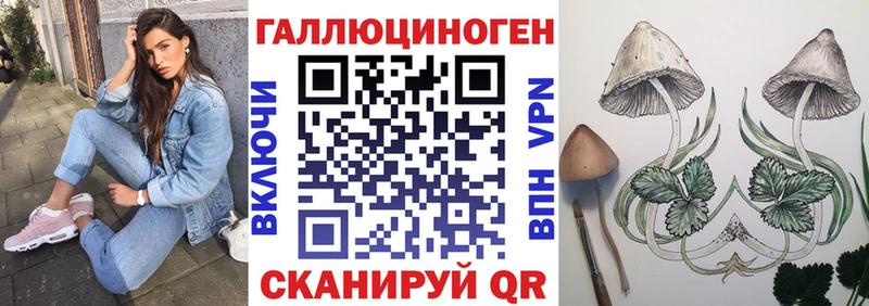 кракен рабочий сайт  купить наркотик  Анжеро-Судженск  Галлюциногенные грибы Cubensis 